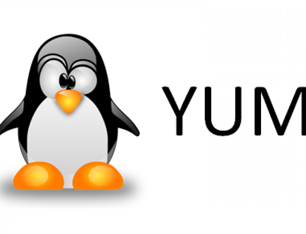 Yum brands. Yum. Yum Linux. Yum brands logo. Yum Dog.